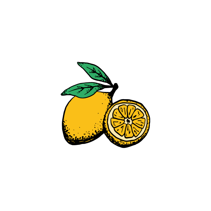 Little Lemon Logo circle - white